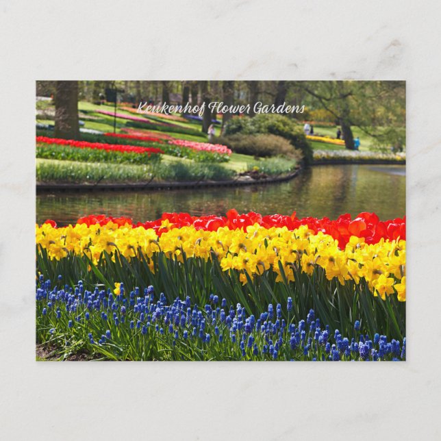 Postal Keukenhof Flower Gardens (Anverso)