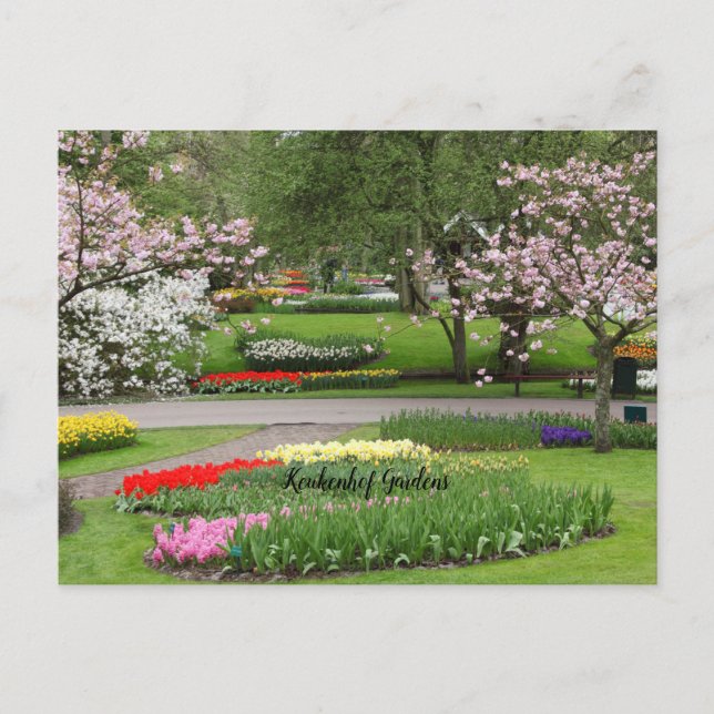 Postal Keukenhof Gardens, Países Bajos (Anverso)