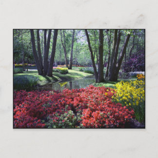 Postal Keukenhof Gardens Países Bajos, plantilla de posta