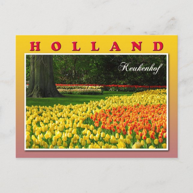 Postal Keukenhof, Lisse (Países Bajos) (Anverso)