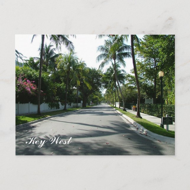 Postal Key West (Anverso)