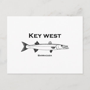 Postal Key West Barracuda