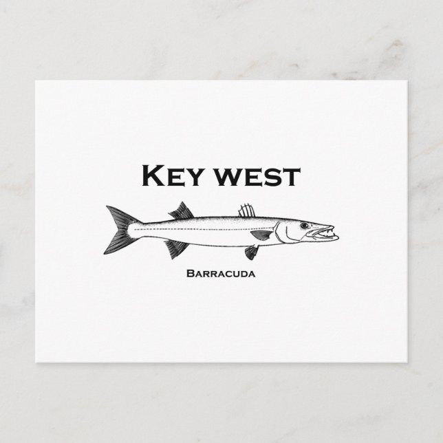 Postal Key West Barracuda (Anverso)