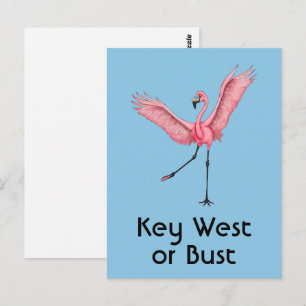 Postal Key West o nada Divertido Flamenco Rosa de Florida