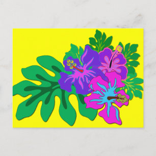 Postal Key West - Postcard