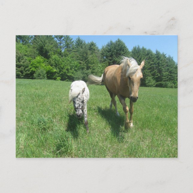 Postal Khrysta y dinero en efectivo (Anverso)