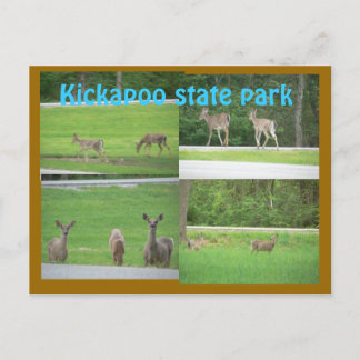 Postal Kickapoo Deer