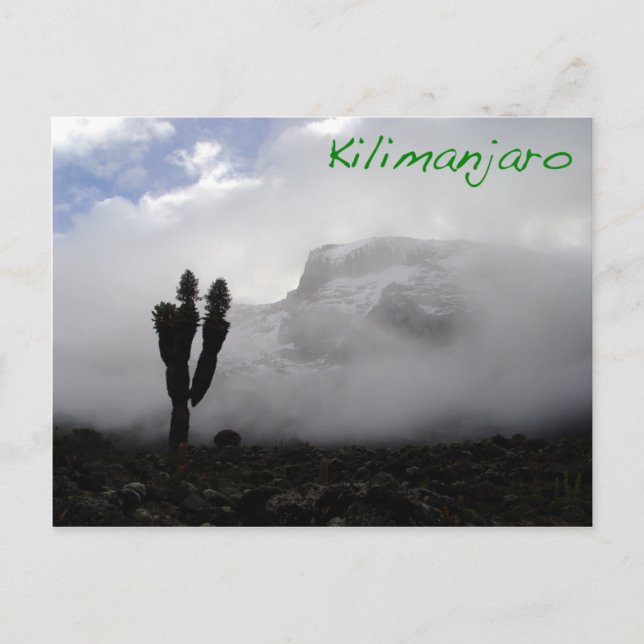 Postal Kilimanjaro (Anverso)