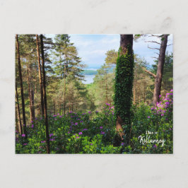 Postal Killarney espectacular, Irlanda