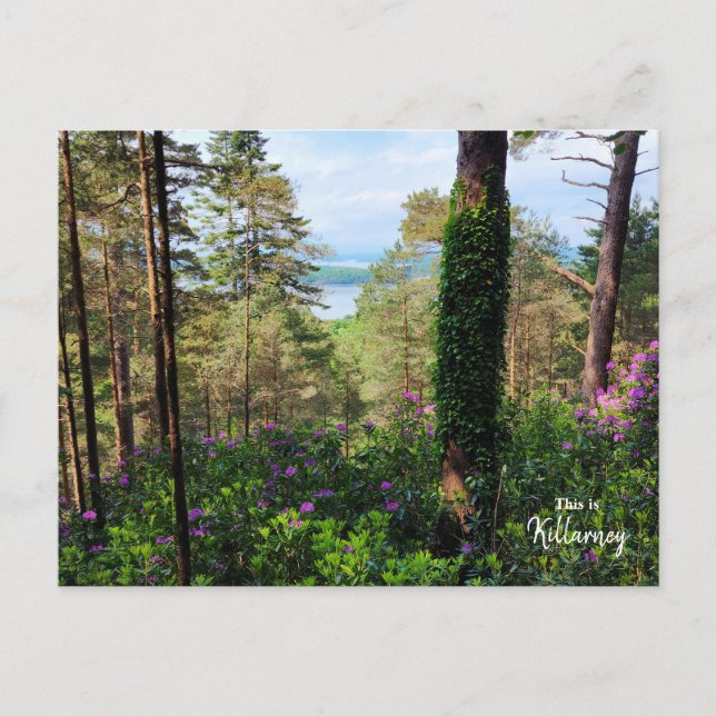 Postal Killarney espectacular, Irlanda (Anverso)