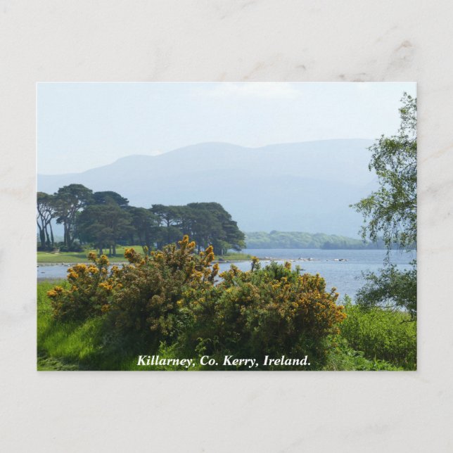 Postal Killarney lakeside, condado de Kerry, Irlanda (Anverso)