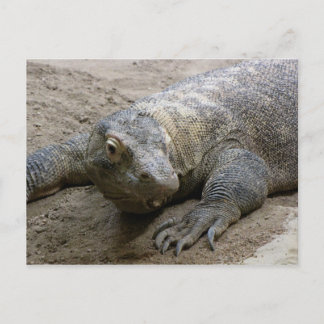 Postal Kimodo Dragon