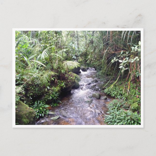 Postal kinabalu creek (Anverso)