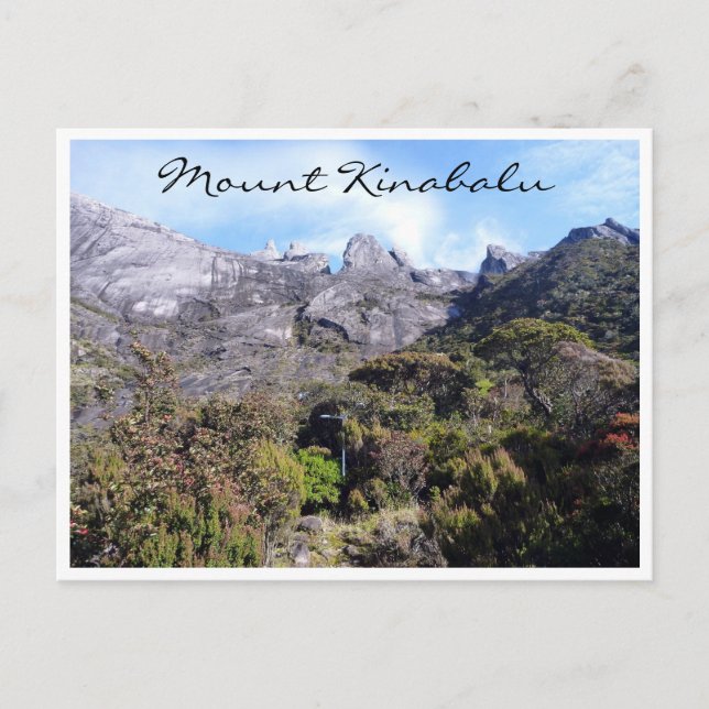 Postal kinabalu de laban rata (Anverso)