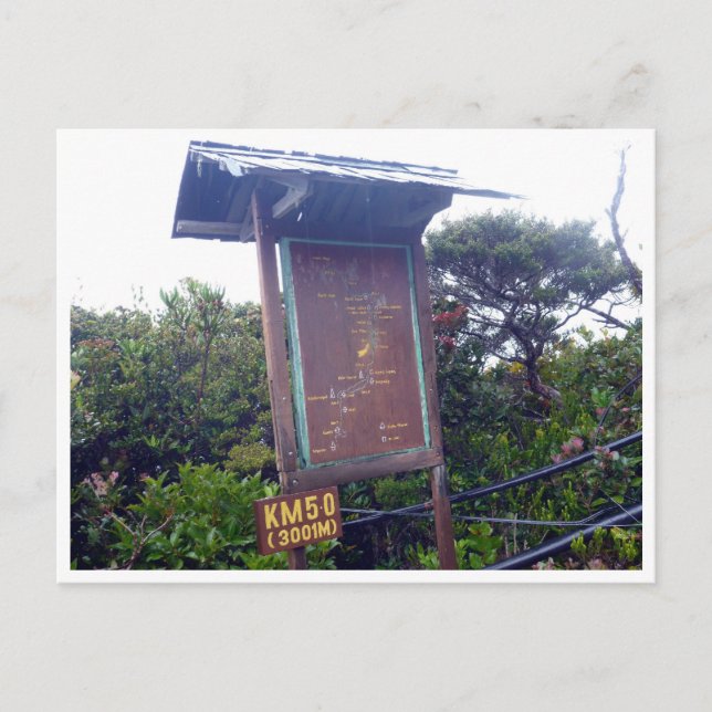 Postal kinabalu km 5.0 (Anverso)