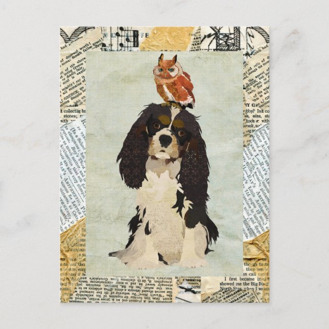 Postal King Cavalier & Owl (Anverso)