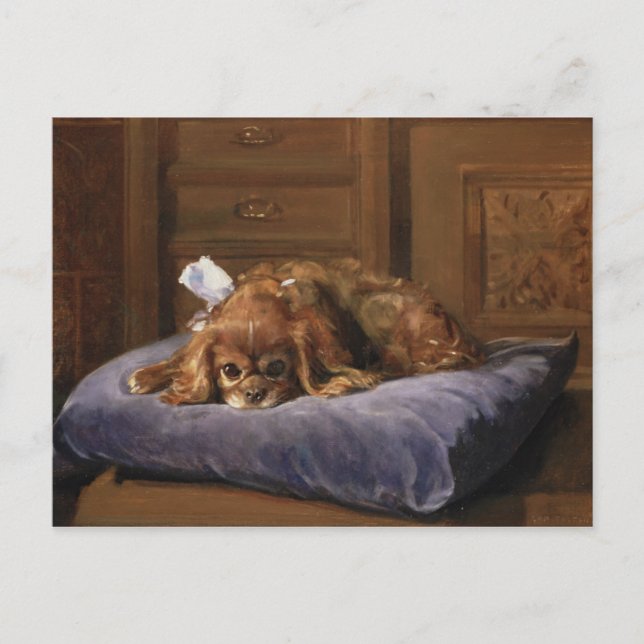 Postal King Charles Spaniel (Anverso)