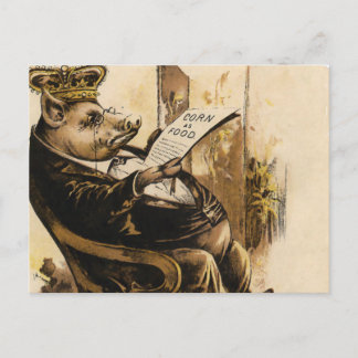 Postal King Pig leyendo su periódico