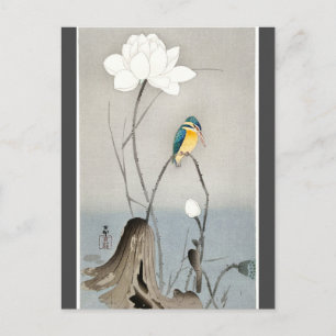 Postal Kingfisha con carbón vegetal de Lotus Flower Ohara