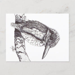 POSTAL KINGFISHER