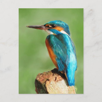 Postal Kingfisher
