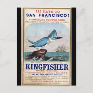 Postal Kingfisher Clipper 1855