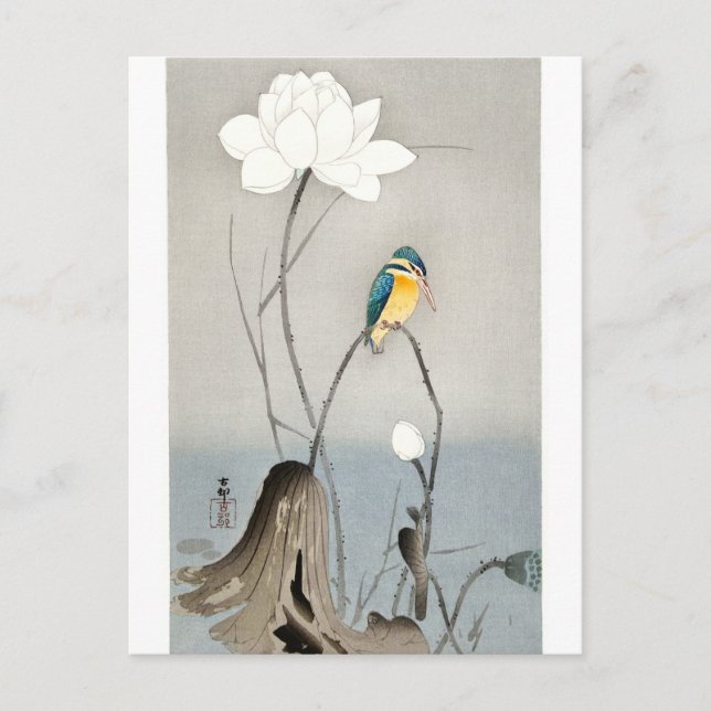 Postal Kingfisher con Flor Lotus - Ohara Koson - blanco (Anverso)