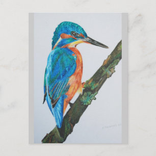 Postal Kingfisher Merchandise