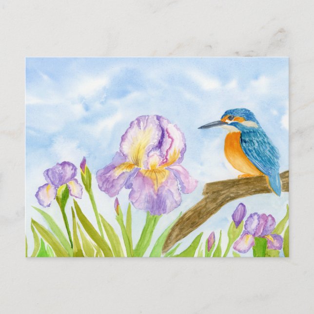 Postal  Kingfisher with Purple Irises (Anverso)