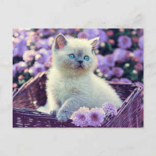 Postal Kit de Foto Propia Gatito Flores de Lila