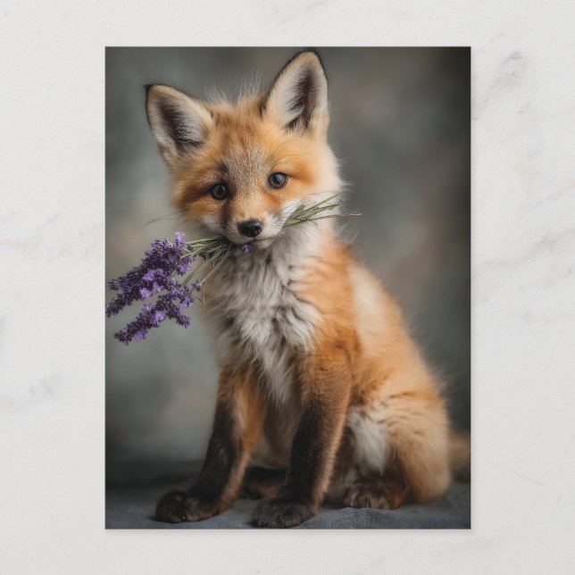 Postal Kit de Fox Adorable Holding Flores de Lavanda (Anverso)