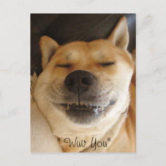 Postal kita japonesa divertido tipo con una sonrisa adora
