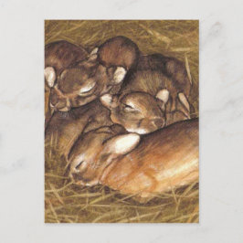 Postal kits de conejos para bebés en arte de nido