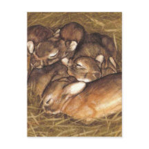 kits de conejos para bebés en arte de nido