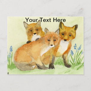 Postal Kits de Fox