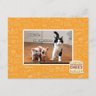 Postal Kitteh de trabajo