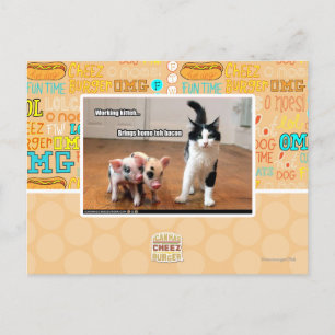 Postal Kitteh de trabajo