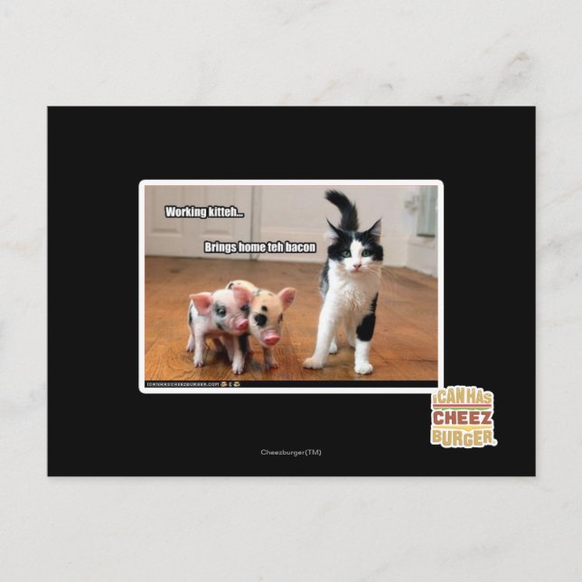 Postal Kitteh de trabajo (Anverso)