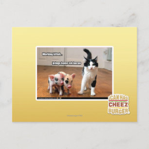 Postal Kitteh de trabajo