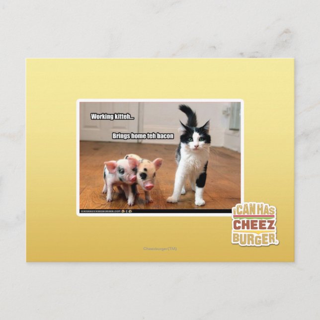 Postal Kitteh de trabajo (Anverso)