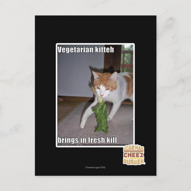 Postal Kitteh vegetariana (Anverso)