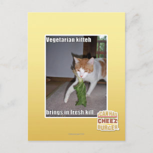 Postal Kitteh vegetariano
