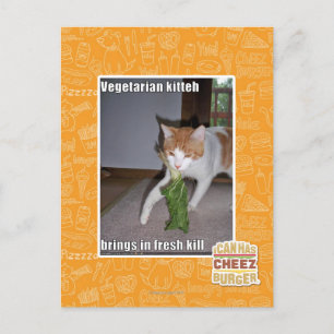 Postal Kitteh vegetariano