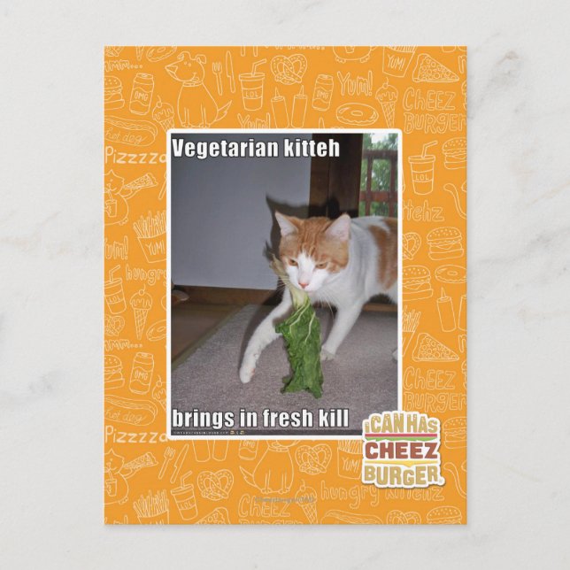 Postal Kitteh vegetariano (Anverso)