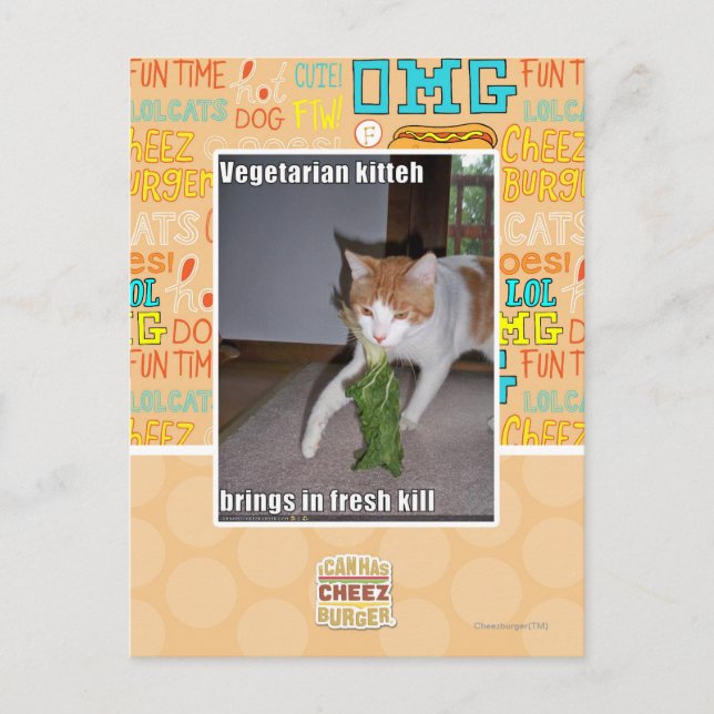 Postal Kitteh vegetariano (Anverso)