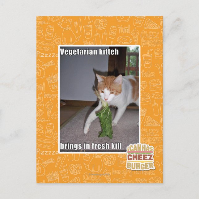 Postal Kitteh vegetariano (Anverso)