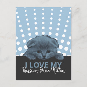 Postal Kitten azul ruso
