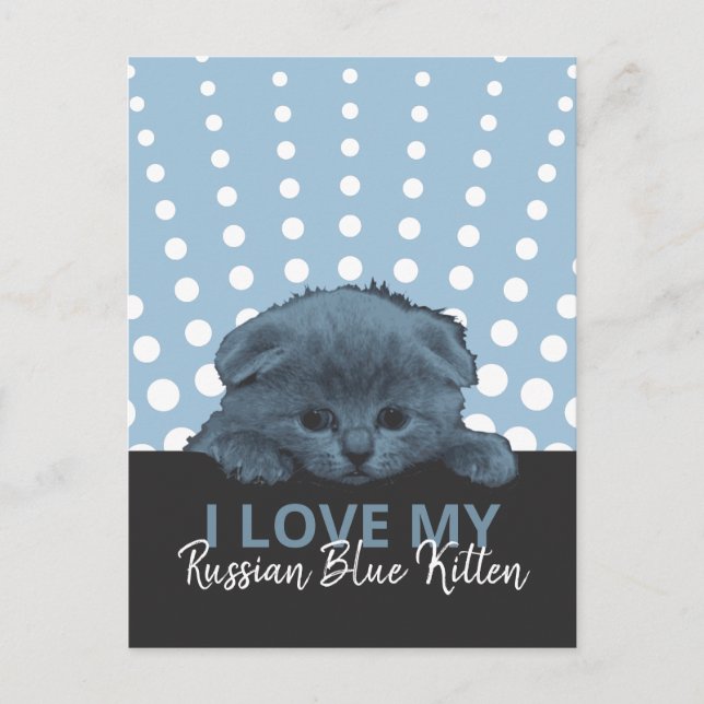 Postal Kitten azul ruso (Anverso)