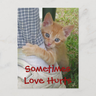 Postal Kitten Dax Love Hurta Postcard
