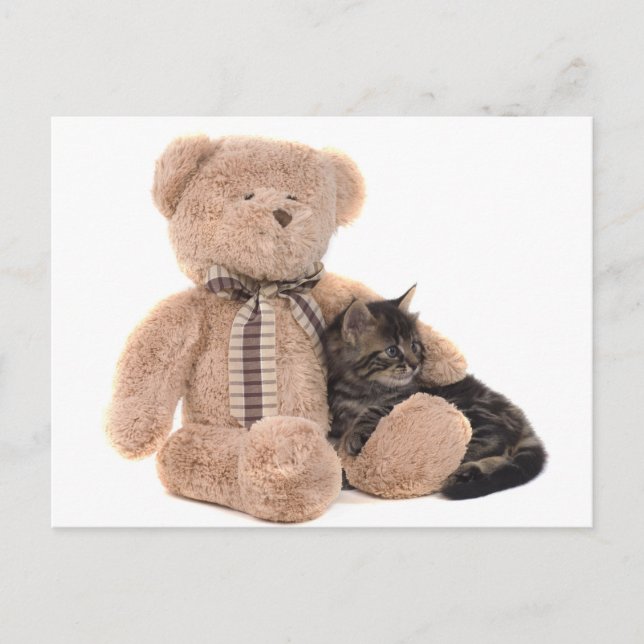 Postal kitten in the arms of a teddy bear (Anverso)